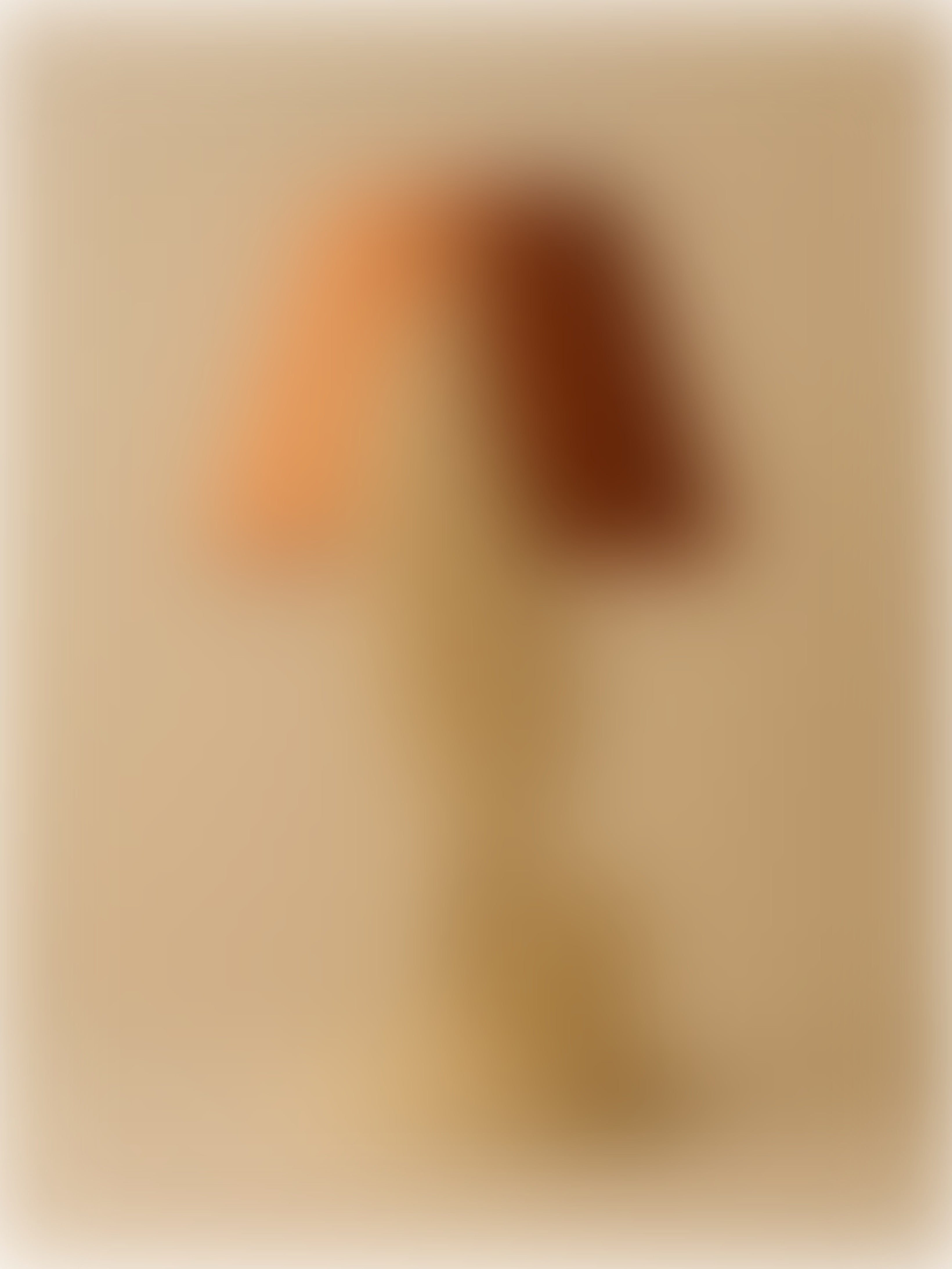 Quillstone Collection